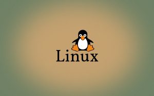 什么是Linux-不念小屋