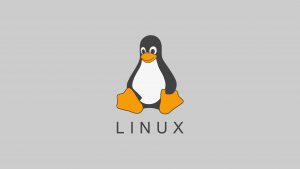 Linux常用命令-不念小屋