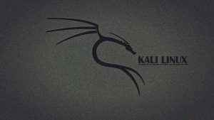 Kali Linux使用小技巧-不念小屋