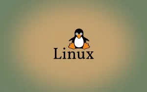Linux介绍：Linux命令基本格式有哪些-不念博客