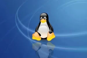 桌面级Linux操作系统有哪些？-不念小屋