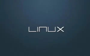 网络工程师常用的Linux命令大全！！！-不念小屋