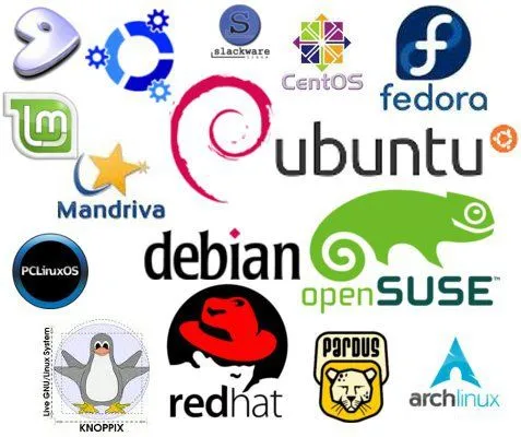 图片[1]-常见的Linux发行版都有哪些，推荐六个各具特色的发行版！-不念博客