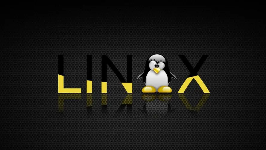 Linux文件和目录相关常用命令大全-不念博客