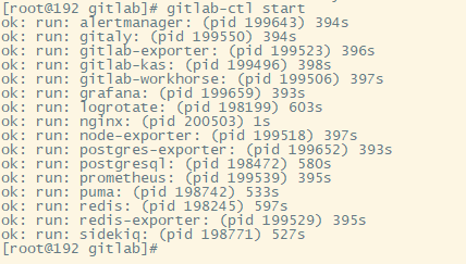 图片[6]-Linux如何搭建GitLab私有仓库，并内网穿透实现公网访问(GitLab私有仓库搭建详细教程)-不念博客