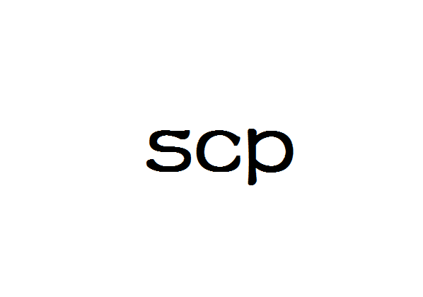 Linux scp命令详解(scp命令的基本语法及示例)-不念博客