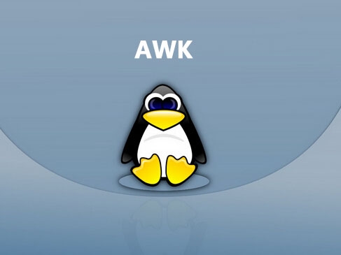Linux awk命令详解(Linux awk的基本用法)-不念博客