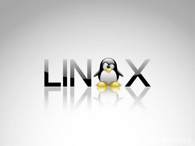 Linux服务器查看内存型号(查看内存型号详细信息命令)-不念博客