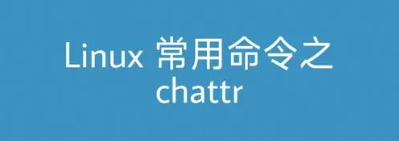 Linux chattr命令详解(chattr命令：如何保护文件？)-不念博客