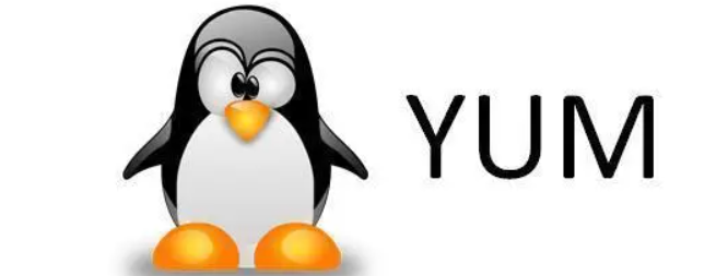 Linux yum命令详解(linux清除yum缓存命令)-不念博客