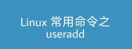 Linux useradd命令详解(Linux添加用户命令useradd和相关选项使用方法)-不念博客