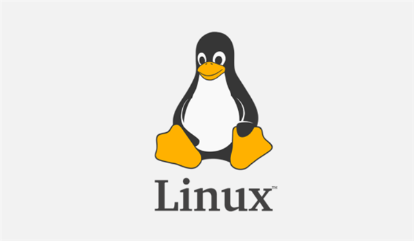 Linux更改ip地址命令教程详解(Linux更改ip地址方法有哪些)-不念博客