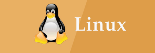 Linux bin是什么文件(解释Linux中的bin文件)-不念博客