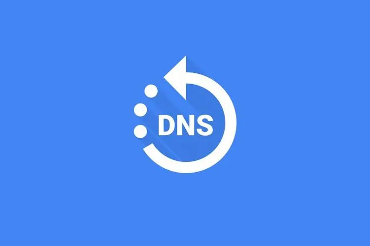 Linux DNS服务器未响应(dns网络服务器未响应是什么原因)-不念博客
