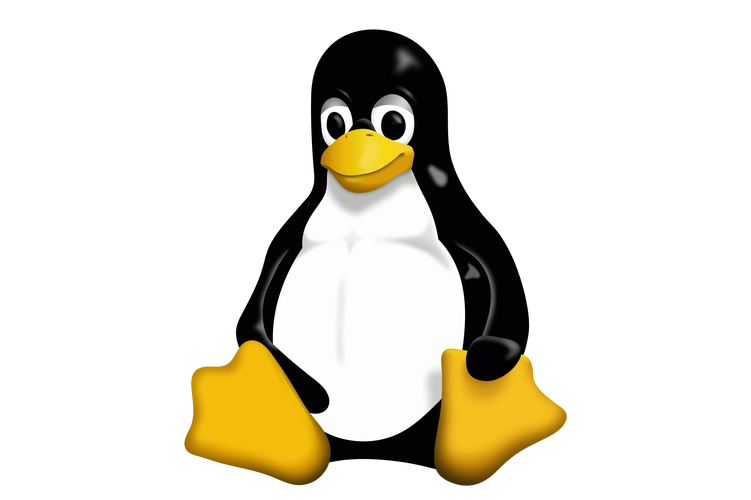 Linux用户组添加管理员(Linux添加管理员到用户组的方法)-不念博客