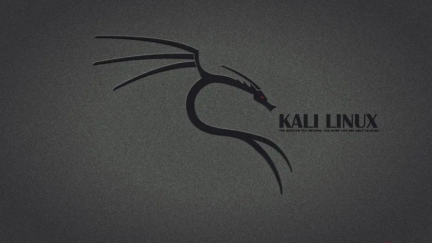 kali Linux如何安装kde(Kali Linux KDE安装指南)-不念博客