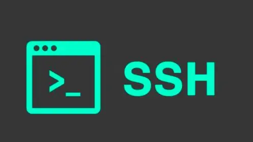 如何在Linux安装ssh(Linux系统如何安装SSH服务)-不念博客