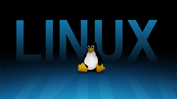 嵌入式Linux查看文件系统版本(嵌入式Linux文件系统版本查询方法)-不念博客