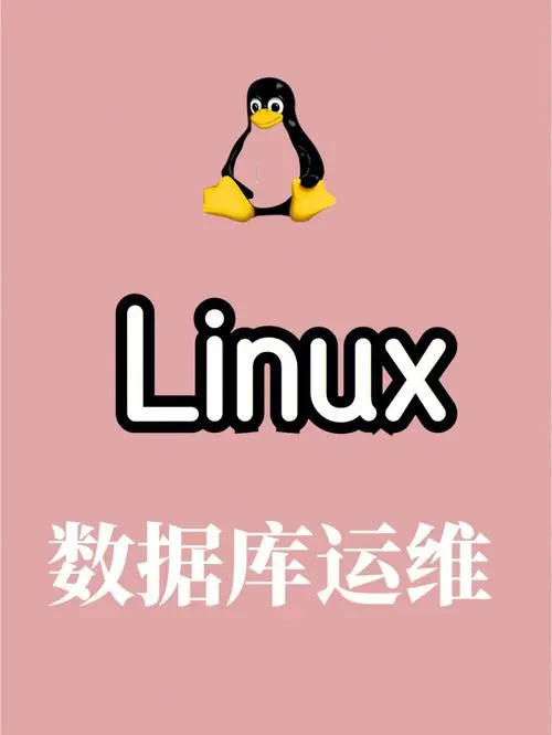 如何用Linux查看数据库的名称(Linux下查看数据库名称的方法)-不念博客