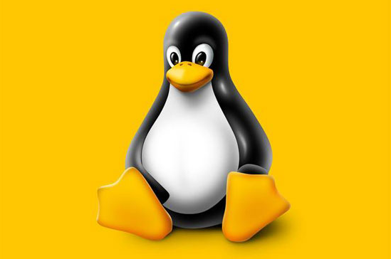 等待队列Linux(Linux任务队列优化策略)-不念博客