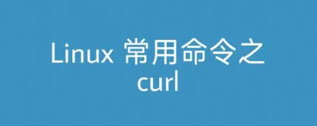 Linux curl命令详解(curl命令的常用选项及解释)-不念博客