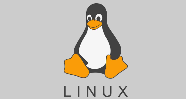 如何修复Linux文件系统(Linux文件系统修复步骤教程)-不念博客