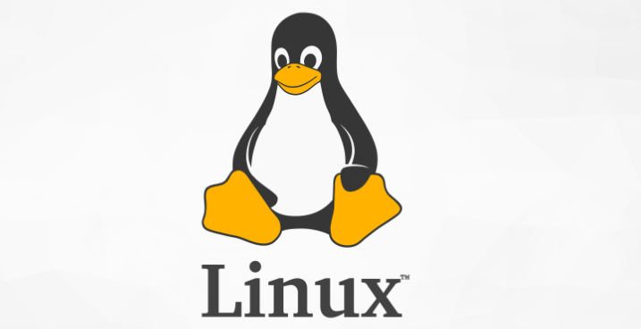 如何查看Linux文件格式(如何确定Linux文件的格式)-不念博客
