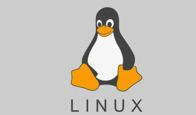 Linux主目录在哪(Linux主目录的路径在哪？)-不念博客