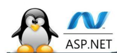 Linux主机支持asp吗(Linux主机是否支持ASP？)-不念博客
