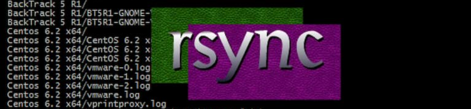 Linux重启rsync(Linux下如何重启Rsync)-不念博客