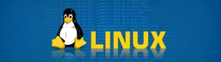 Linux终端如何播放视频(Linux终端视频播放教程)-不念博客