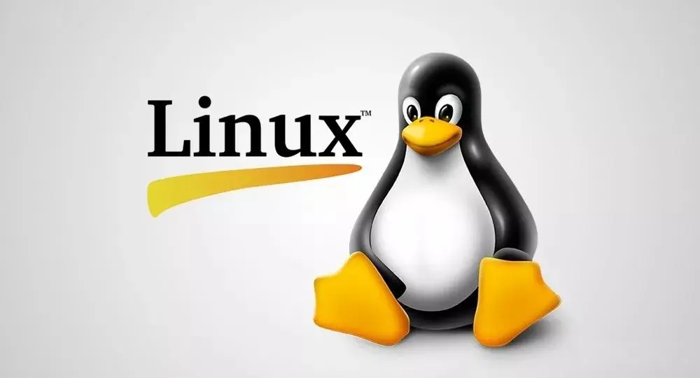 Linux深度解析：mkdir -p命令的详细用法与示例-不念博客