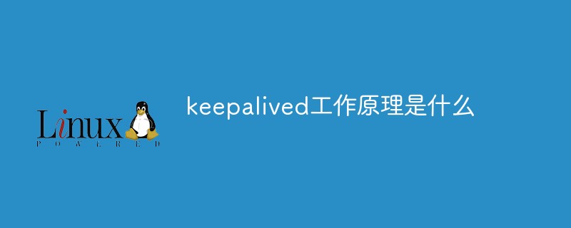 深度剖析Keepalived：理解其工作原理与机制-不念博客