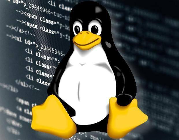 Linux系统中如何查看操作系统信息：详细指南-不念博客