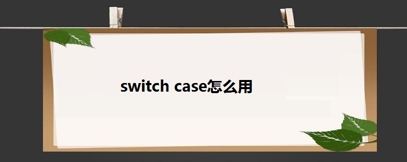 《Switch-Case语句详解：掌握条件分支控制技巧》-不念博客