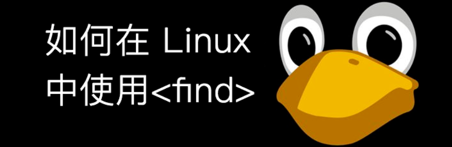 精通Linux find命令:使用-name选项进行模糊查找-不念博客