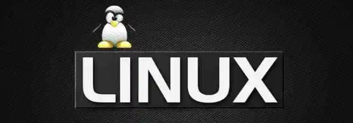 详细探索Linux中的du命令详解：一个全面指南-不念博客