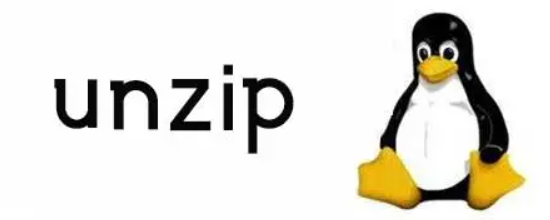 Linux解压利器：unzip命令详解与实用技巧-不念博客