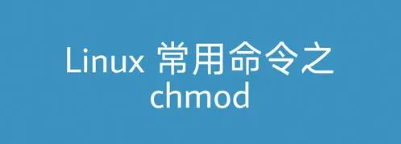Linux权限控制大师：chmod命令详解与实用技巧-不念博客