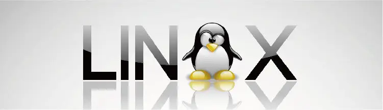 Linux中如何使用cp命令复制多个文件-不念博客