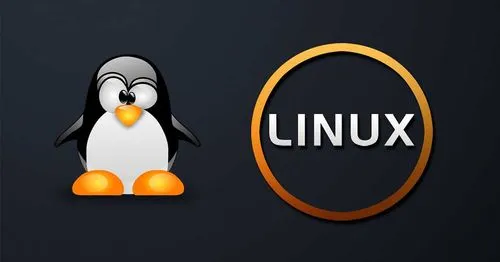 Linux系统中如何修改root密码：一篇简单的操作指南-不念博客