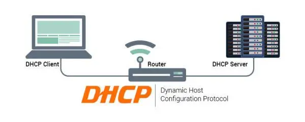 网络基础知识解析:什么是DHCP?-不念博客
