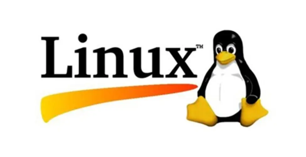 Linux Shell脚本实战：自动化磁盘I/O性能检测-不念博客