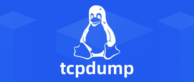 深入探索网络诊断：tcpdump抓包命令详解与应用-不念博客