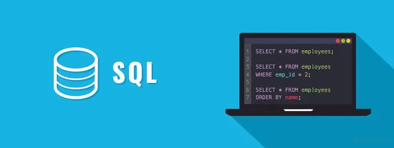 SQL通配符详解：高效搜索和匹配数据的关键技巧-不念博客
