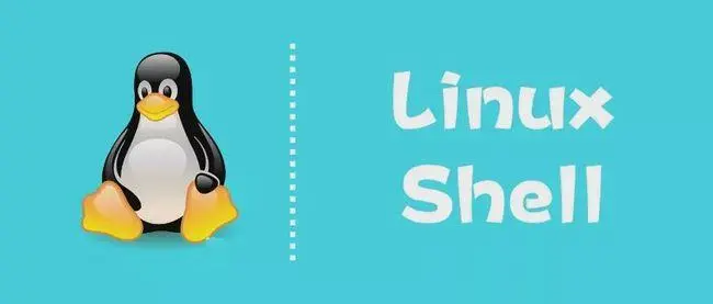 如何通过 Linux Shell 脚本统计当前系统可登录账户数量-不念博客