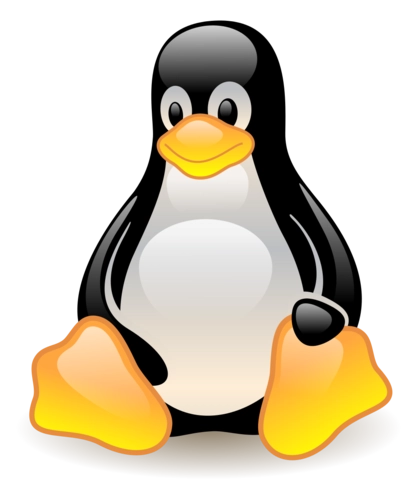 Linux环境下查看CPU型号的详细指南-不念博客