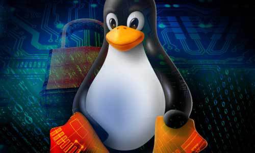Linux管道命令的深度解析与实用教程-不念博客