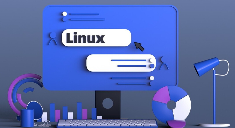 Linux系统如何进行分区扩容-不念博客