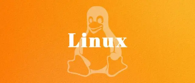 Linux fsck命令：检查并修复Linux文件系统-不念博客
